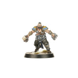 Norse Blood Bowl Team: Norsca Rampagers