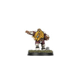 Old World Alliance Blood Bowl Team – The Middenheim Maulers