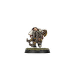 Old World Alliance Blood Bowl Team – The Middenheim Maulers