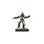 Old World Alliance Blood Bowl Team – The Middenheim Maulers