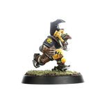 Goblin Team: Scarcrag Snivellers