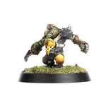 Goblin Team: Scarcrag Snivellers