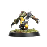Goblin Team: Scarcrag Snivellers