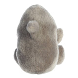 Palm Pals Chomps Shark Soft Toy