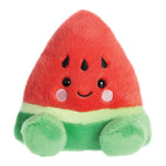 Palm Pals Sandy Watermelon Soft Toy