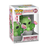 BARREL CACTUS - FLORA