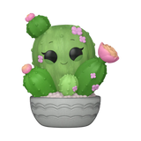 BARREL CACTUS - FLORA