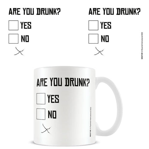 ARE YOU DRUNK MUG