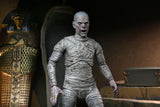 NECA  7" Scale Ultimate Action Figure The Mummy
