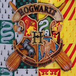 Harry Potter Golden Snitch Collectible Tankard