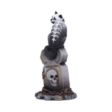 Skull Cat by Martin Hanford 15cm