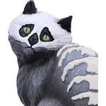 Skull Cat by Martin Hanford 15cm
