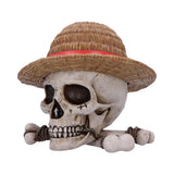One Piece Luffy Jolly Roger Box 19.5cm