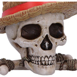 One Piece Luffy Jolly Roger Box 19.5cm