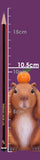 Three Wise Capybaras 10.5cm