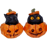 Three Wise Pumpkin Patch