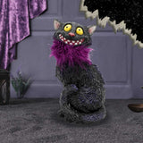 Furgus 19.5cm
