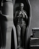 NECA  7" Scale Ultimate Action Figure The Mummy The Mummy (Black & White)
