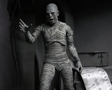 NECA  7" Scale Ultimate Action Figure The Mummy The Mummy (Black & White)