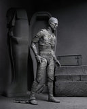 NECA  7" Scale Ultimate Action Figure The Mummy The Mummy (Black & White)