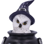 Owl's Brew 10cm