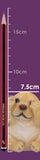 Three Wise Golden Labradors 7.5cm