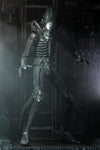 NECA 7" Scale Ultimate Action Figure Alien Big Chap