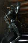 NECA 7" Scale Ultimate Action Figure Alien Big Chap