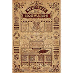 HARRY POTTER (QUIDDITCH AT HOGWARTS) MAXI