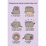 PUSHEEN (REASONS TO BE A CAT) MAXI POSTER